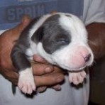 Tyson